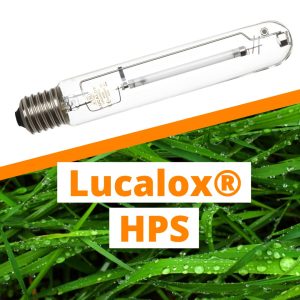 BUY Lucalox® HPS