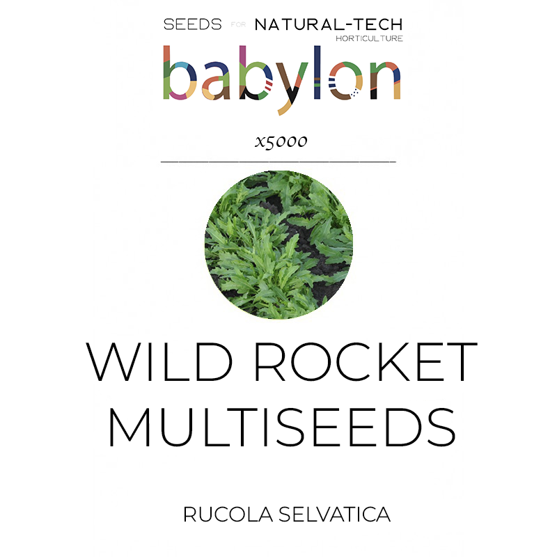 buy MULTI ROCKET 5000