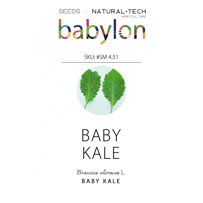 compra baby kale