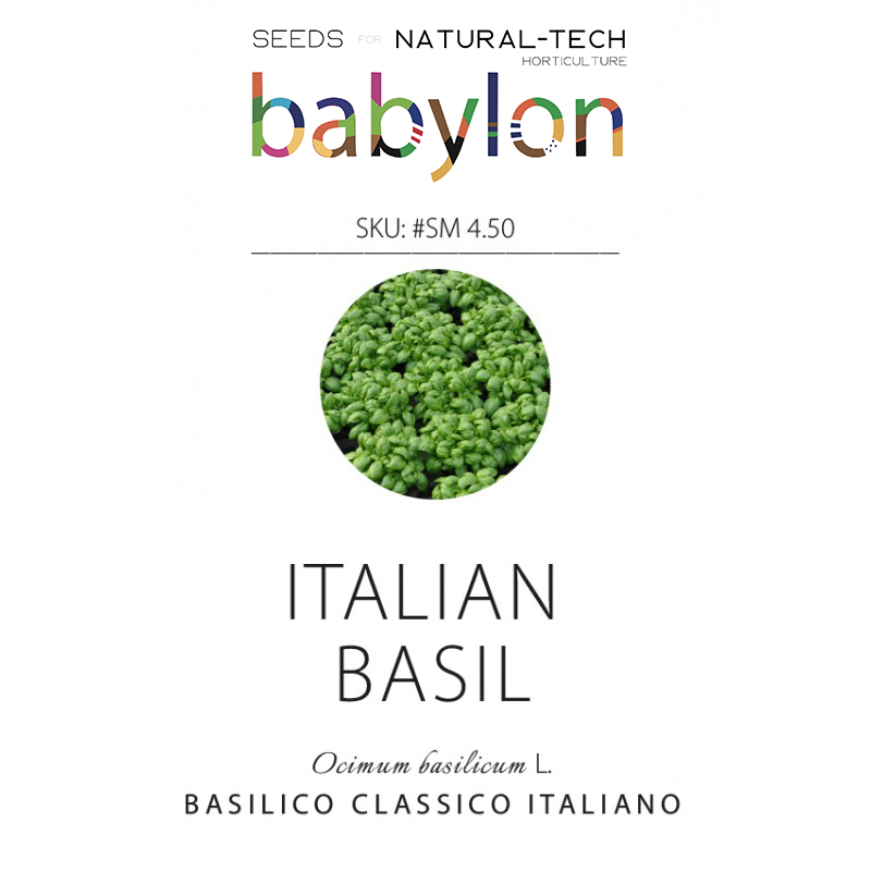 compra basilico italiano