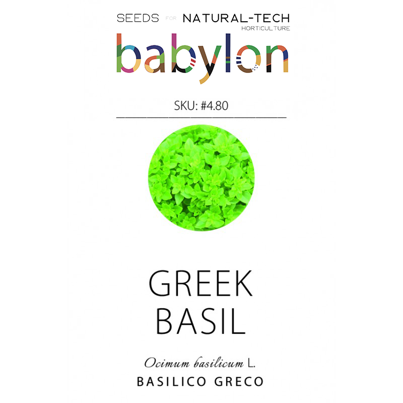 compra basilico greco