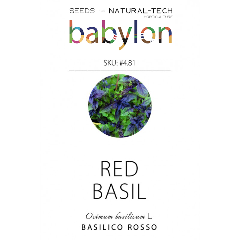 compra basilico rosso