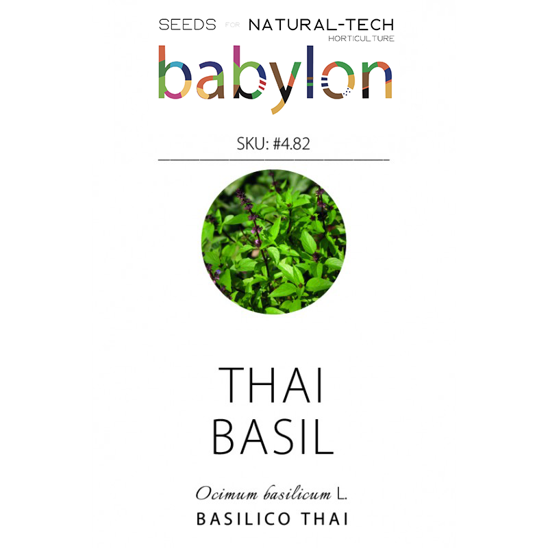 compra basilico thai