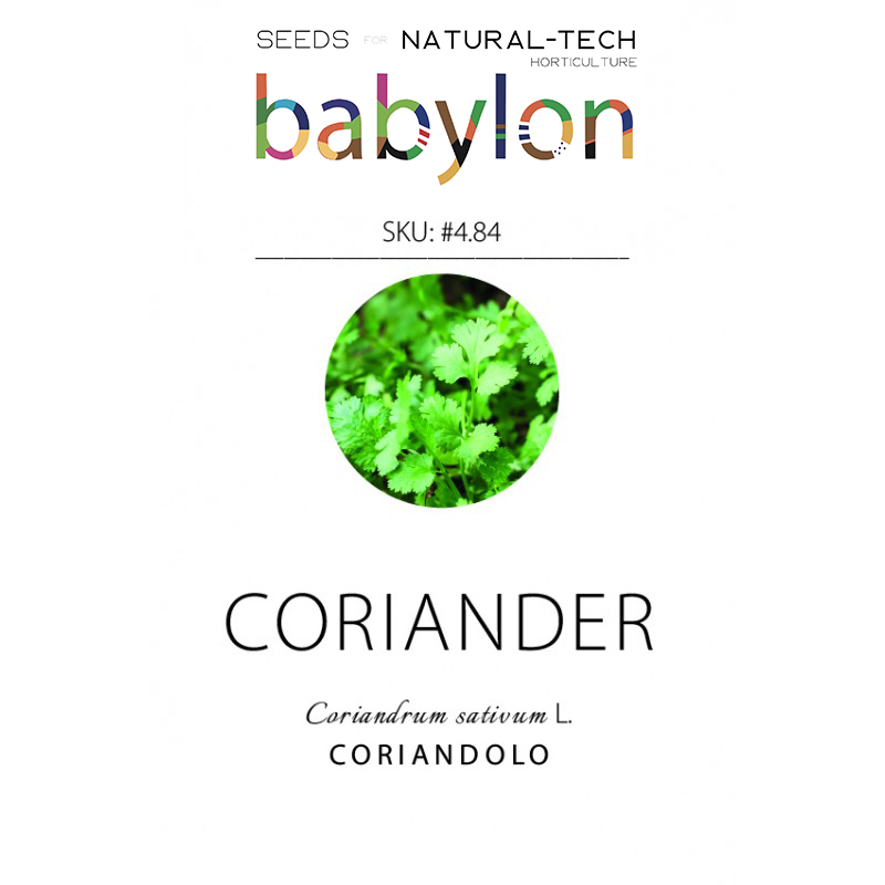 compra coriandolo