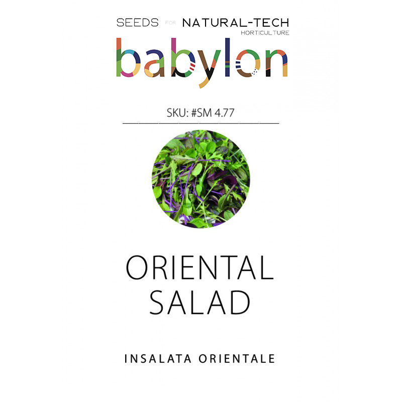 compra insalata orientale