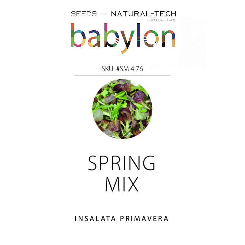compra insalata primavera