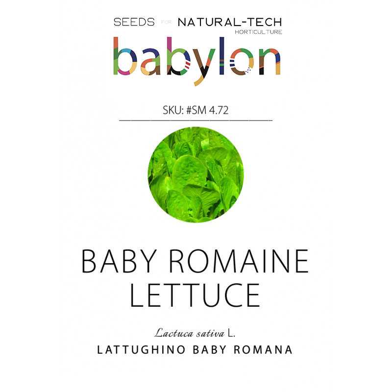 compra lattughino baby romana