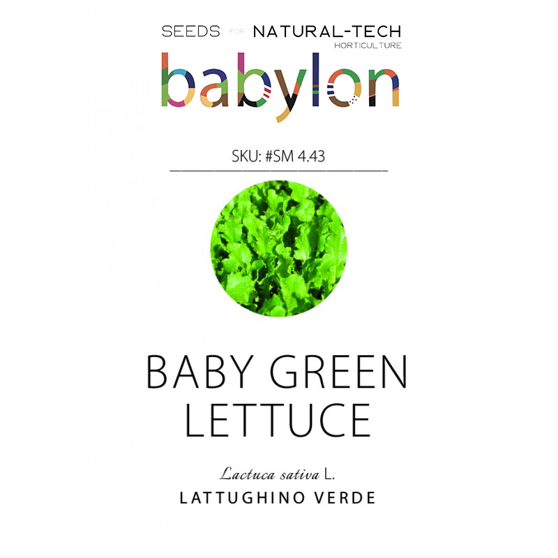 compra lattughino verde