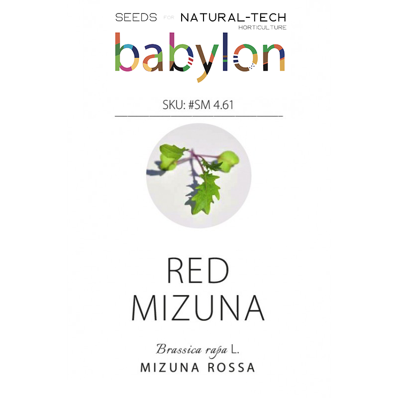 compra mizuna rossa
