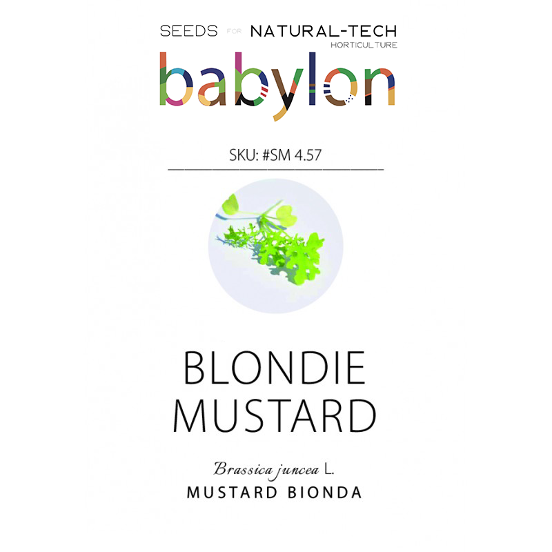 compra mustard bionda