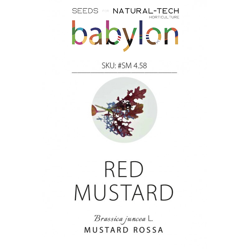 compra mustard rossa
