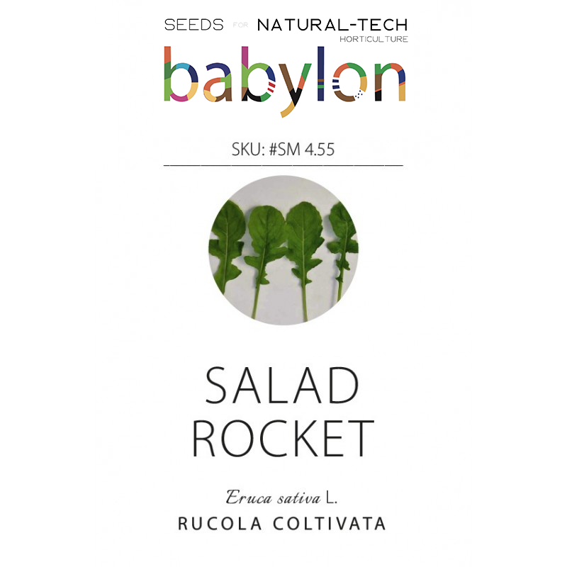 compra rucola coltivata