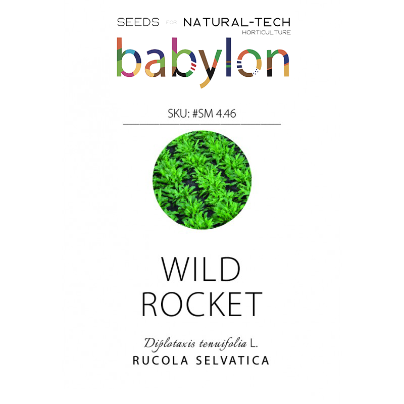 compra rucola selvatica