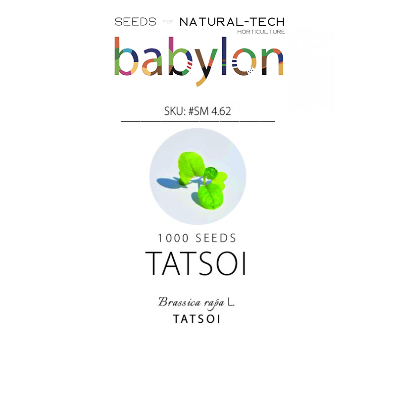 compra tatsoi